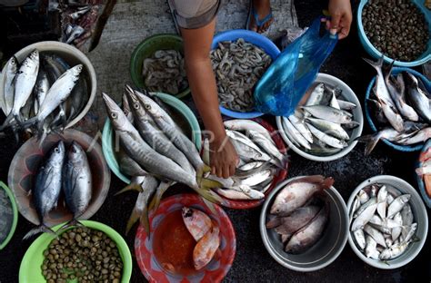 Harga Ikan Laut Naik Antara Foto