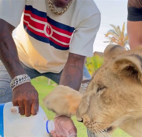 Dababy Spends Time Feeding Lions And Tigers In Dubai Blacgoss