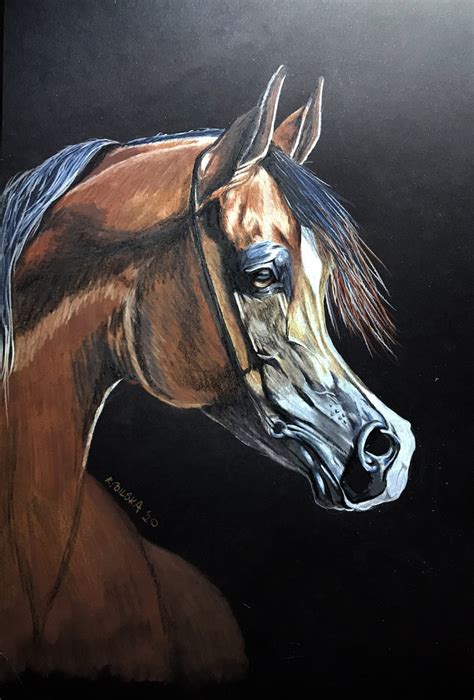 Arabian Horse Portrait A3 Animal Zwierze Koń Rysunek Etsy