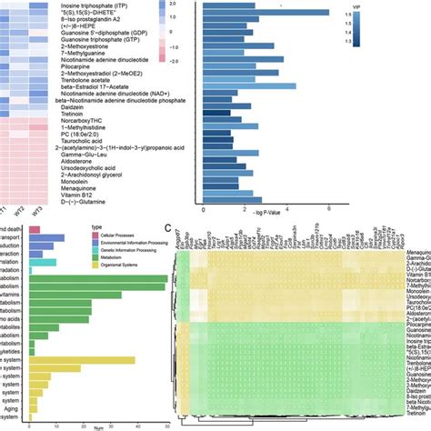 Integrative Transcriptomic And Metabolomic Analysis A Heatmap Of The