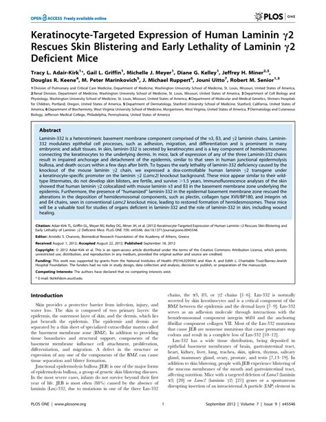 Pdf Keratinocyte Targeted Expression Of Human Laminin γ2 Rescues Skin