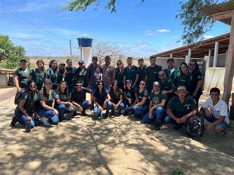 Alunos do 4º Período de Medicina Veterinária Participam de Aula Prática