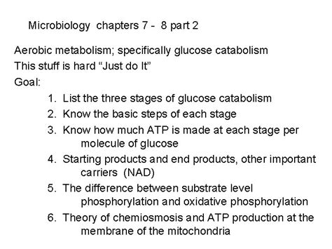 Microbiology Chapter Microbial Growth Bacteria Reproduce