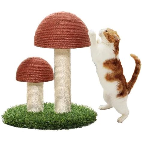 Poteau Gratter Pour Chat Jouets Grattoir Champignons Pour Chats Et