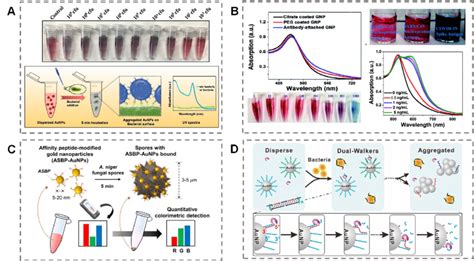 Colorimetric Detection Of Pathogens Based On Antibody Peptide And