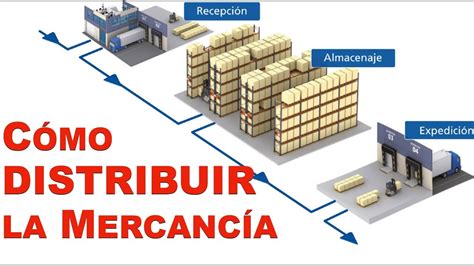 Aprende Aspectos Básicos Para Realizar La DistribuciÓn De MercancÍa En