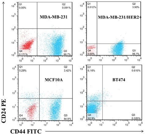 Flow Cytometry Was Utilized To Characterize MDA MB 231 MDA MB 231 HER2