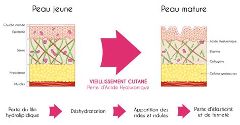 Collagène marin pour la peau avec acide hyaluronique et vitamine C