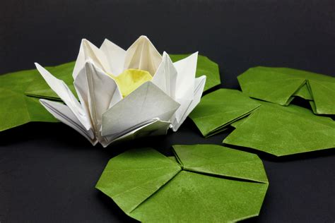 White Origami Water Lily Origami Lily Origami Water Lily Origami Design