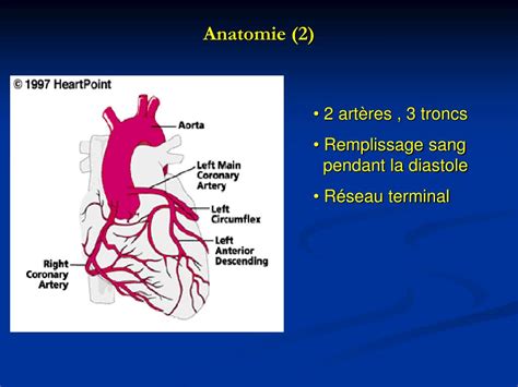 Ppt Prise En Charge De Linfarctus Du Myocarde Powerpoint