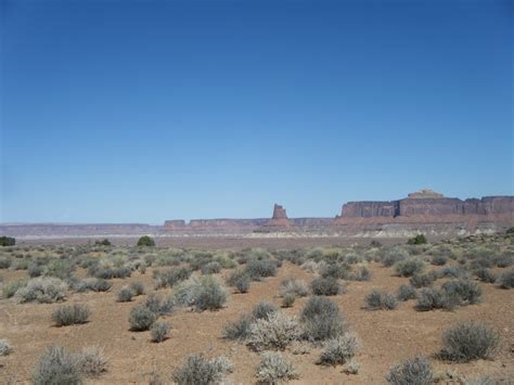 The Botanical Hiker Western Plants