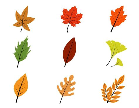 Set Colorful Leave For Autumn Season Concept Vector Art At