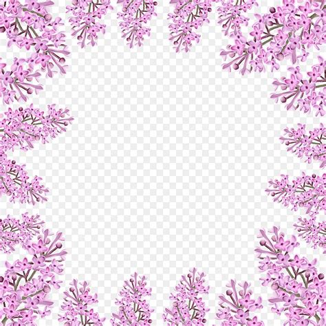 Bordure De Mariage Fleur Lilas Aquarelle Plante Rose PNG Lilas