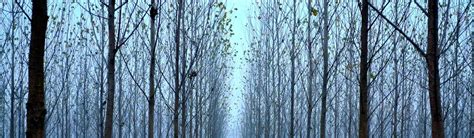 pantnagar  packages  hyderabad book pantnagar packages