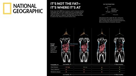 AMRA Medical Medical Imaging And Body Composition Analysis