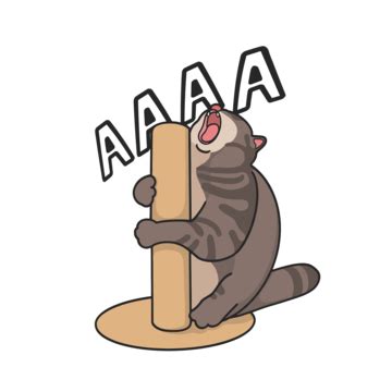 Cat Meme PNG Transparent Images Free Download | Vector Files | Pngtree