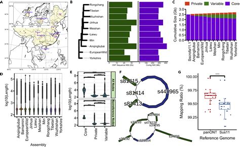 Pangenome Obtained By Long Read Sequencing Of 11 Genomes Reveal Hidden