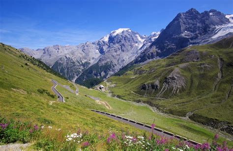 Parco Nazionale Dello Stelvio In Alto Adige Vivoaltoadige