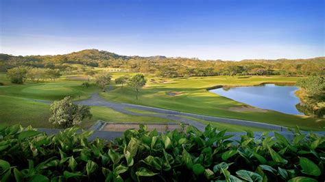 weston golf club membership - Anitra Cullen