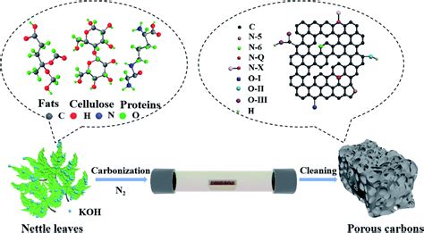 Dual Doped Hierarchical Porous Carbon Derived From Biomass For Advanced