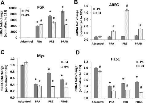 Overexpression Of PR Decreases Myc Expression And Activity ECC1 ESR1