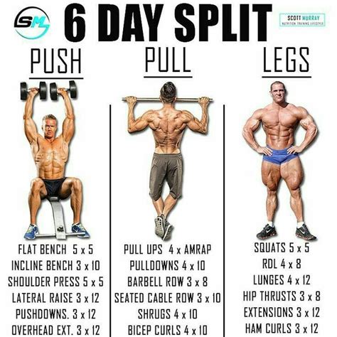 Pin by Treeve Hurley on Exercise | Full body workout, Workout splits ...