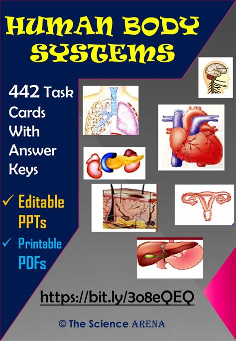 Human Body Systems Task Cards Mega Editable Bundle Of Task Cards