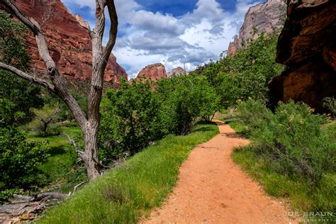 Zion Canyon Hiking Ideas (Page 2) - Joe's Guide to Zion National Park