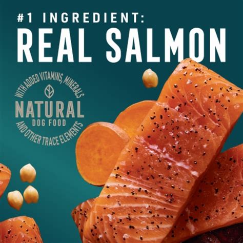 ABOUND® Grain Free Salmon & Sweet Potato Recipe Dry Dog Food, 28 lb ...