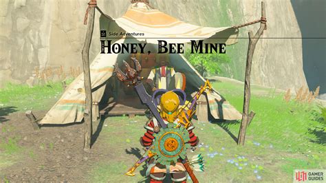 Honey Bee Mine The Legend Of Zelda Tears Of The Kingdom Database