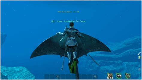 Ark Manta Abilities Controls Taming Food Saddle Breeding