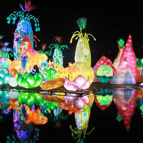 Dubai Garden Glow Tickets Online Glow And Dinosaur Park Access