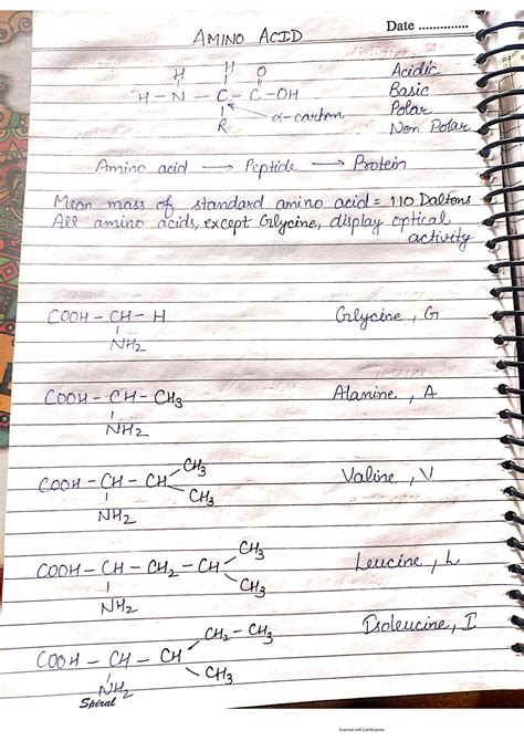 Solution Amino Acid Structure Studypool