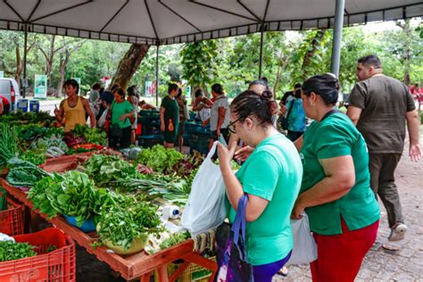 Feira Org Nica No Parque Adahil Barreto Chega A Edi O