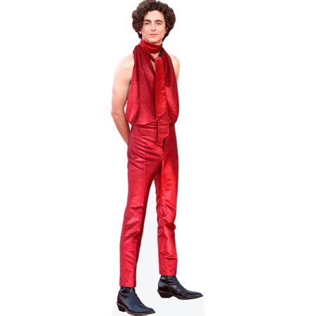 Timothée Chalamet Topless Cardboard Cutout Celebrity Cutouts