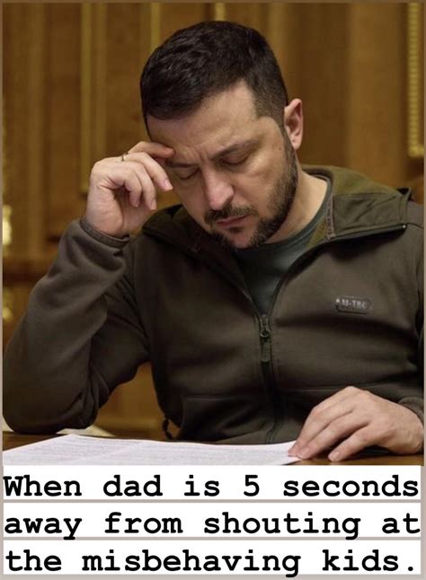 ‘Disappointed dad’ Ze meme I made. : r/zelensky