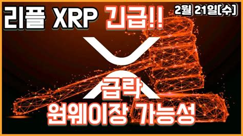 리플 Xrp 긴급 급락 원웨이장 가능성 Youtube