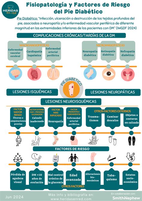 Infografía Fisiopatología y Factores de Riesgo del Pie Diabético