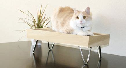 Modern Handcrafted Natural Wood Cat Furniture From Woodstripes