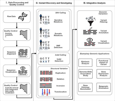 Bioinformatics Workflow For Handling Dna Sequencing Data Alignment