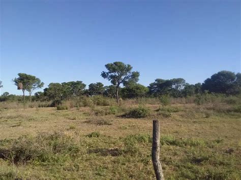 Campo ganadero en venta de 200 hectáreas en Vera Santa Fe Agrofy