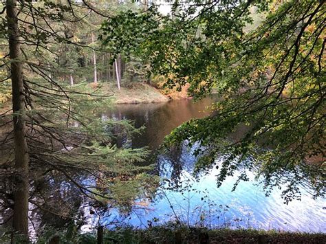 Derwent Visitor Centre Bamford 2020 All You Need To Know Before You