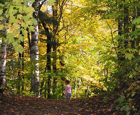 Vancouver Nature Centres for Little Ones - Modern Mama