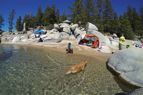 Dog Friendly Beaches South Lake Tahoe | Kids Matttroy