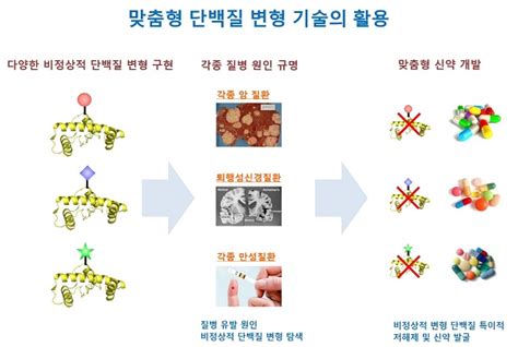 국내 연구진 맞춤형 단백질 변형 기술 세계 최초 개발