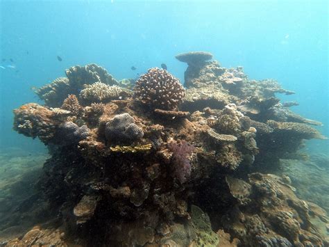 Exmouth Diving Centre Ce Quil Faut Savoir Pour Votre Visite