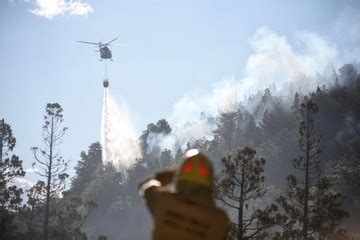 Incendio En El Parque Nacional Los Alerces Ya Se Quemaron Casi 700