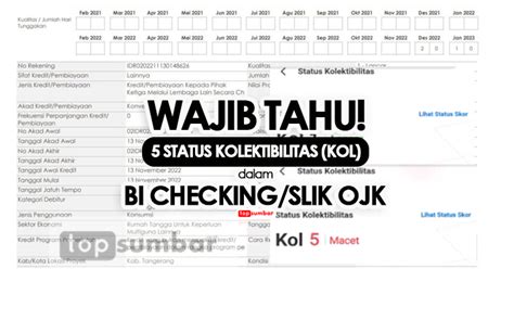 Cara Baca Riwayat BI Checking Slik OJK Pedoman Mempelajari Kol 1