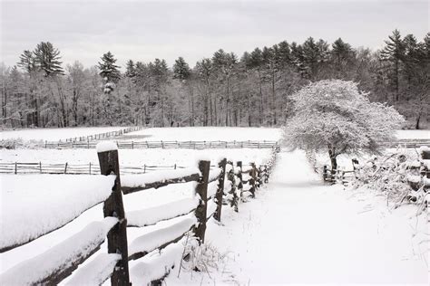 Winter In Connecticut Everything You Need To Know Stanton House Inn