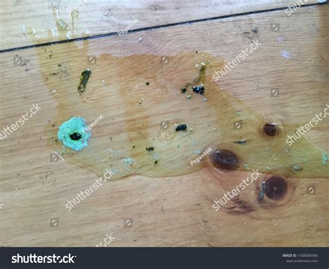 Close Watery Feces Bird Poop Sick Stockfoto 1438304366 Shutterstock